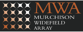 ASVO Logo